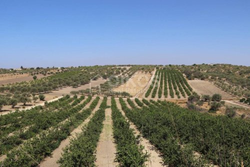 Terreno agricolo a Noto