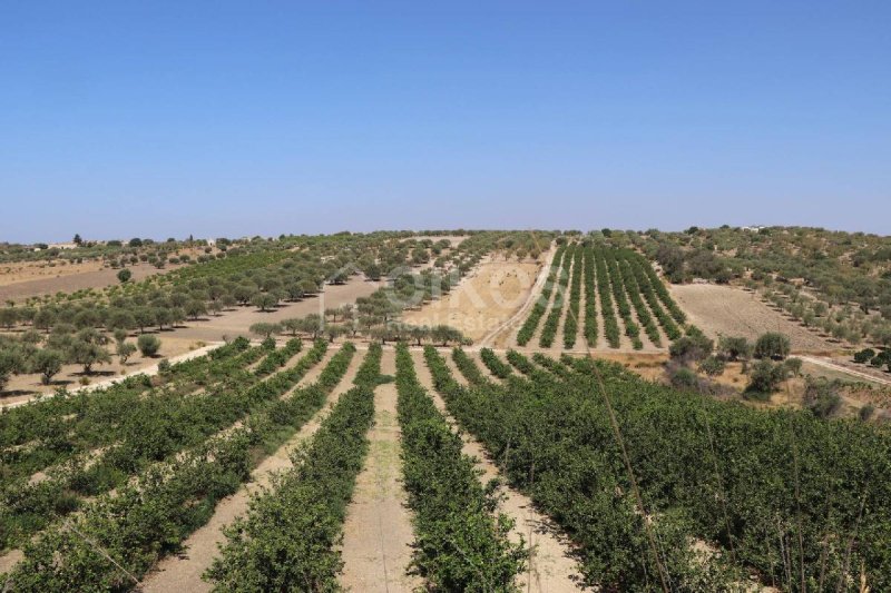 Landbouwgrond in Noto