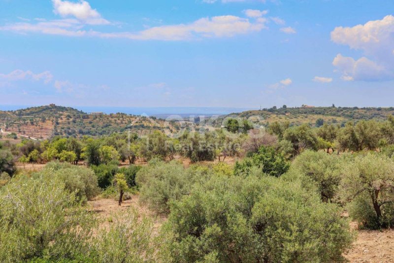 Terreno agrícola em Avola