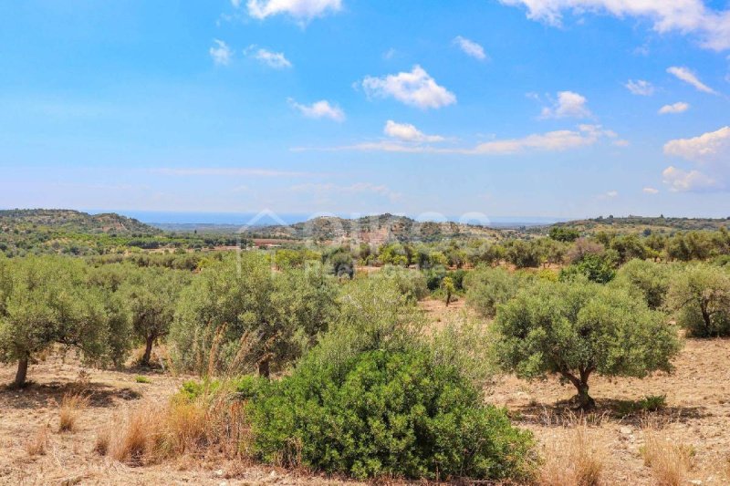 Terreno agrícola em Avola