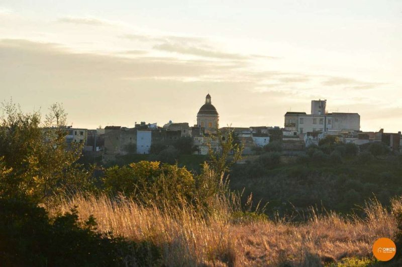 Terrain agricole à Avola