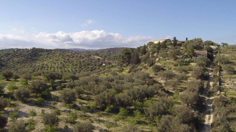 Landbouwgrond in Noto
