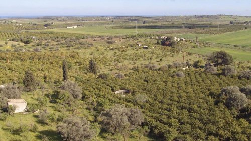 Landbouwgrond in Noto