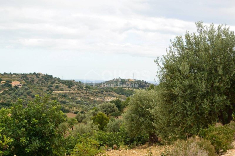Landwirtschaftliche Fläche in Noto