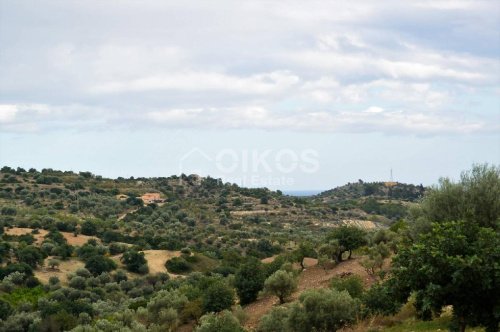 Landwirtschaftliche Fläche in Noto