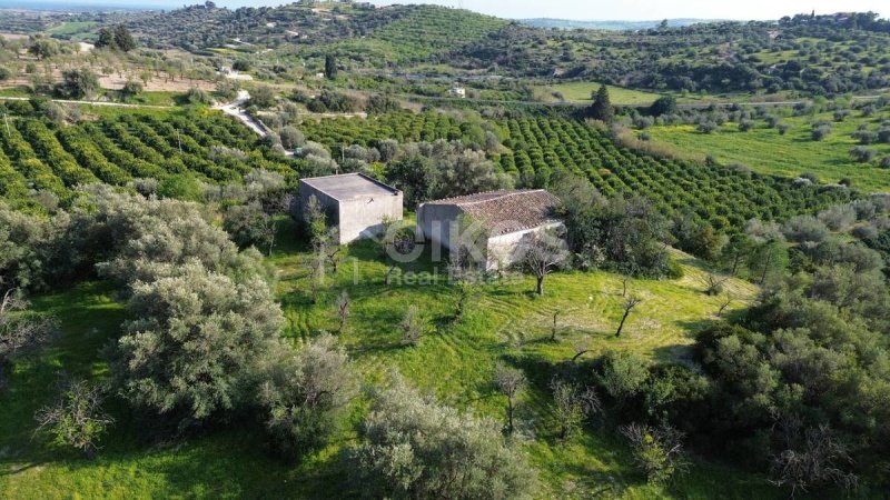 Landwirtschaftliche Fläche in Noto