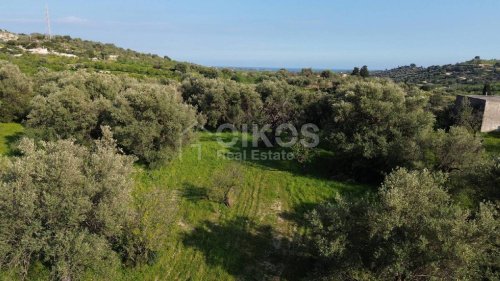 Landwirtschaftliche Fläche in Noto