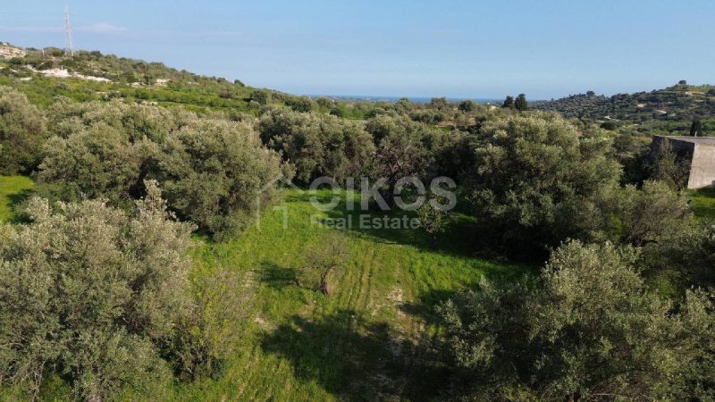 Landwirtschaftliche Fläche in Noto