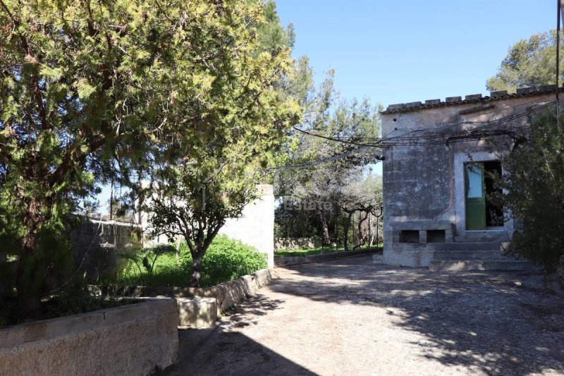 Terreno agrícola en Noto