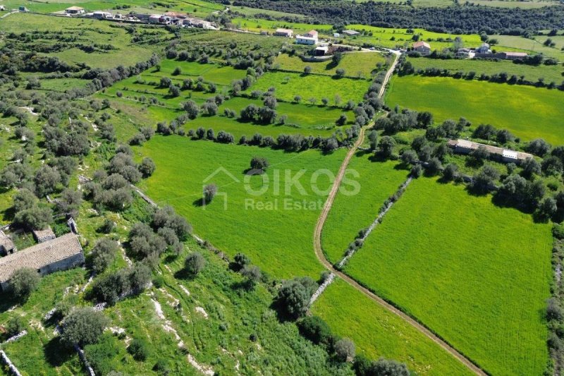 Agricultural land in Noto