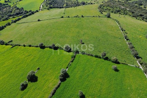 Agricultural land in Noto