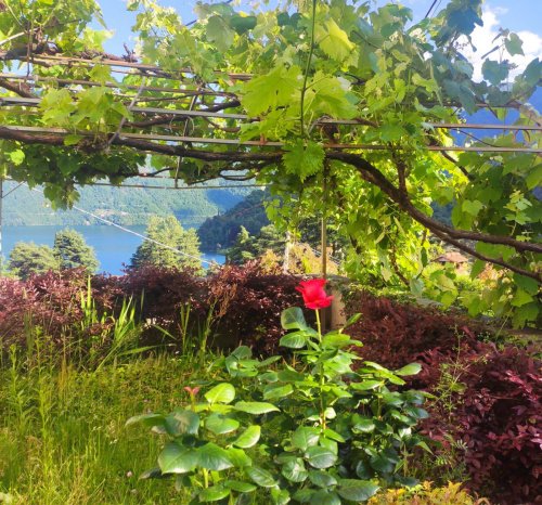 Apartment in Tremezzina