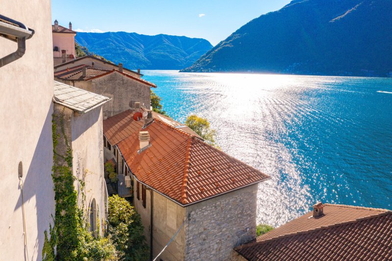 内索半独立房屋