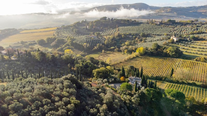 Villa in Montepulciano