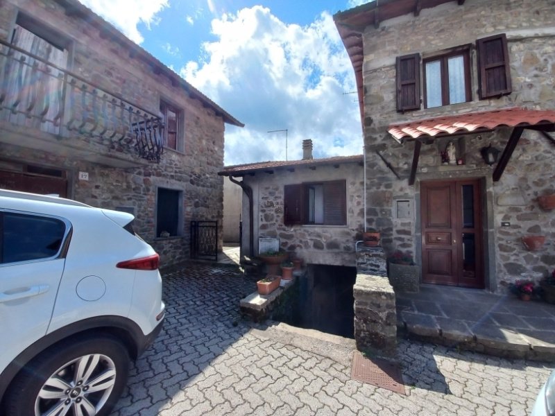 Semi-detached house in Minucciano