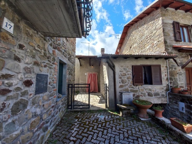 Semi-detached house in Minucciano