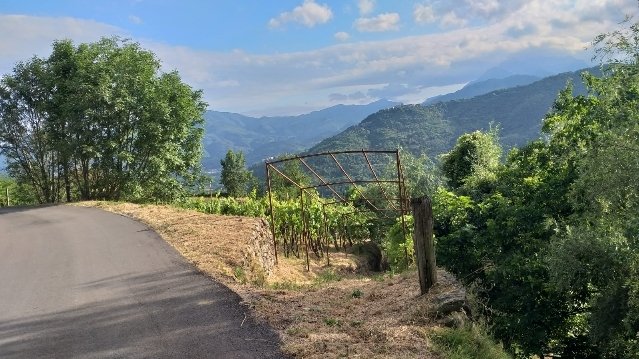 Ferme à Fosciandora
