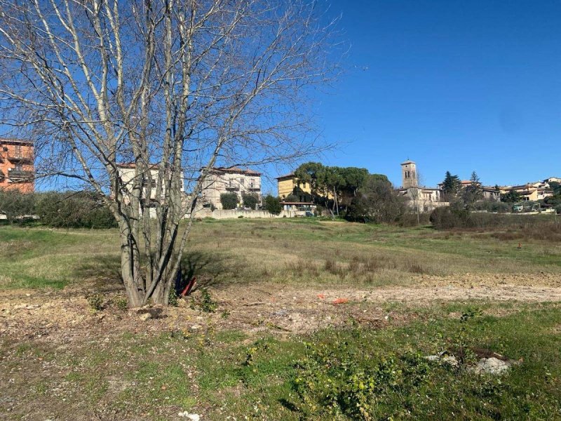 Terreno edificable en Torgiano