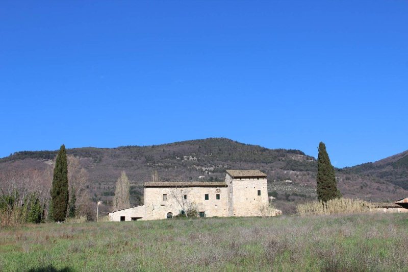 Lantställe i Assisi