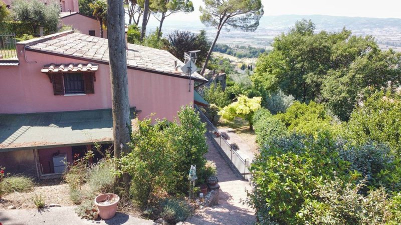 Casa independente em Assis