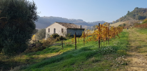 Klein huisje op het platteland in Montefiore dell'Aso