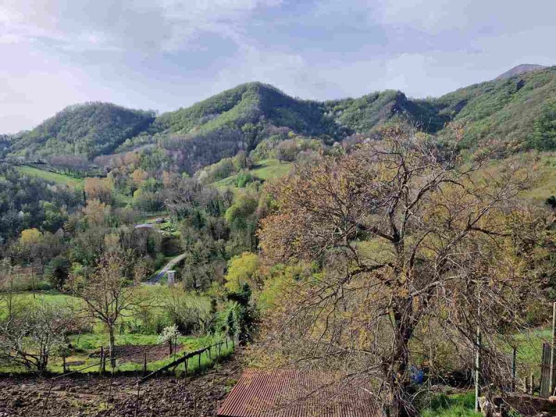 Cielo/Tierra en Amandola