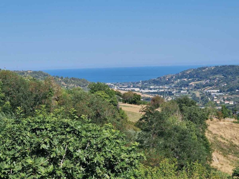 Quinta agrícola em Ripatransone