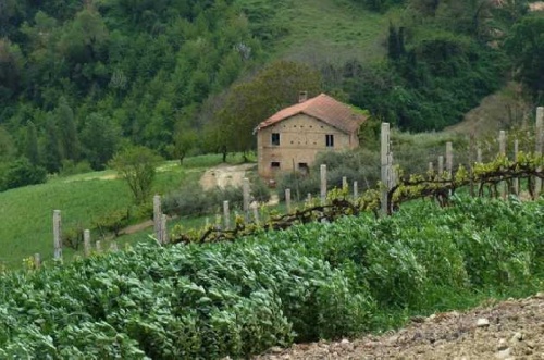 Huis op het platteland in Carassai