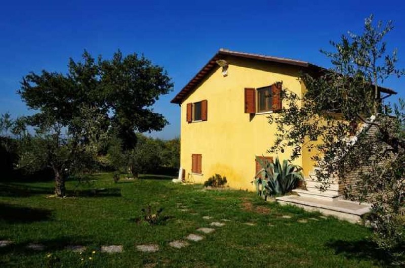 Country house in Offida