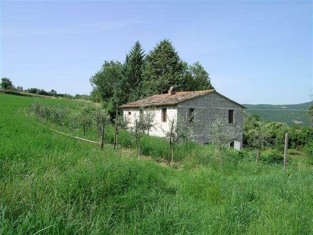 House in San Venanzo