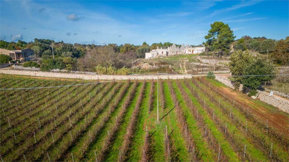 5 bedrooms trulli, 125 m² Martina Franca, Taranto (province) Itria Valley photo 5