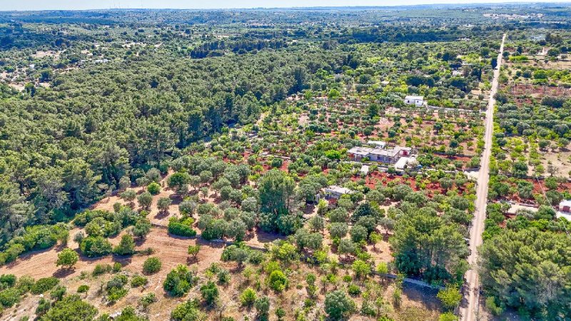 Villa i Ceglie Messapica