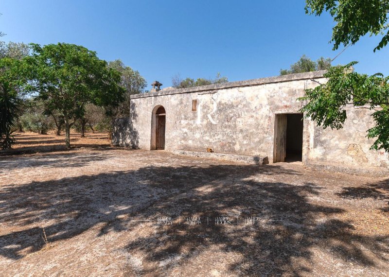 Farmhouse in San Michele Salentino