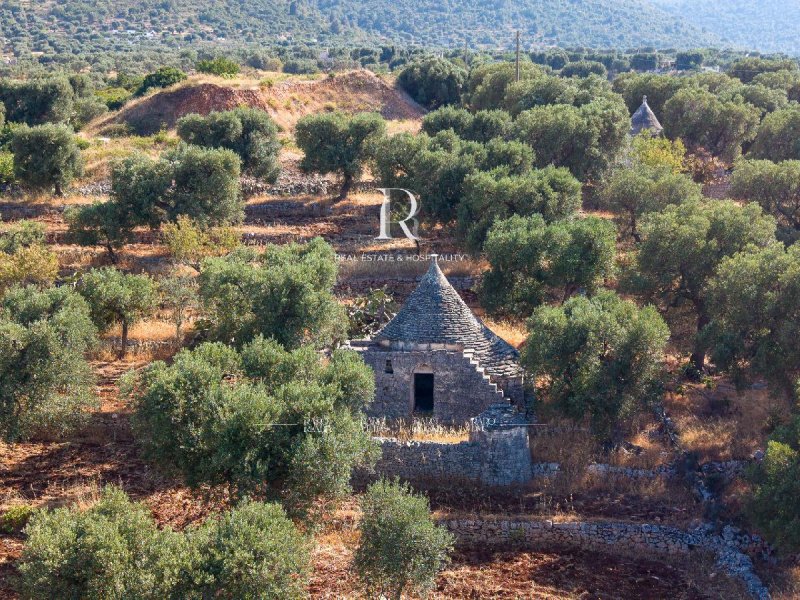 Trullo in Fasano