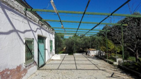 Lamia a San Vito dei Normanni