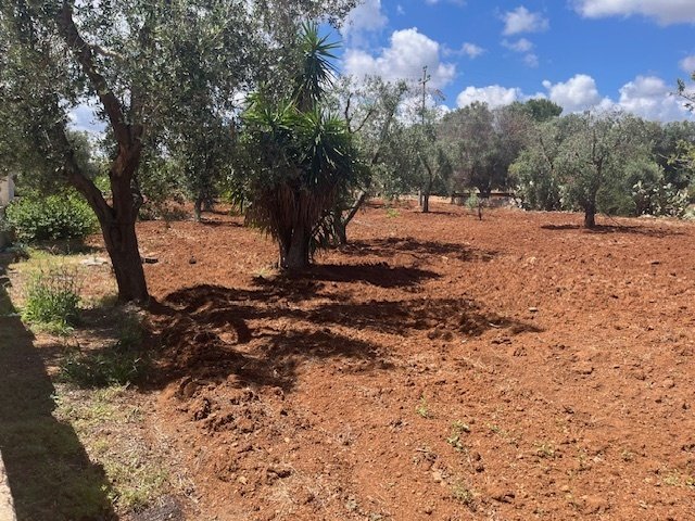 Casa de campo en Carovigno