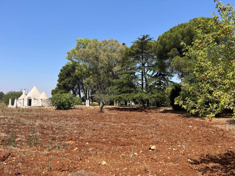 Casa de campo en Carovigno