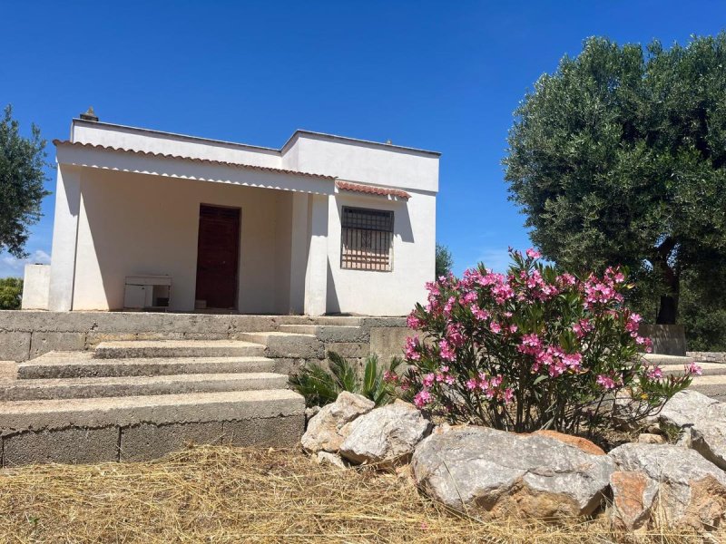 奥斯图尼乡间房屋