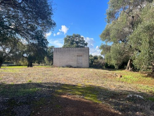 Jordbruksmark i Carovigno