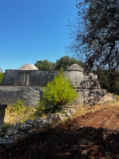 Трулло в Каровиньо