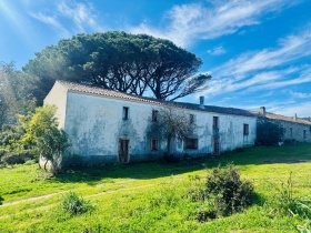 阿连图半独立房屋