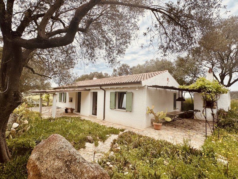 Casa de campo en San Pantaleo