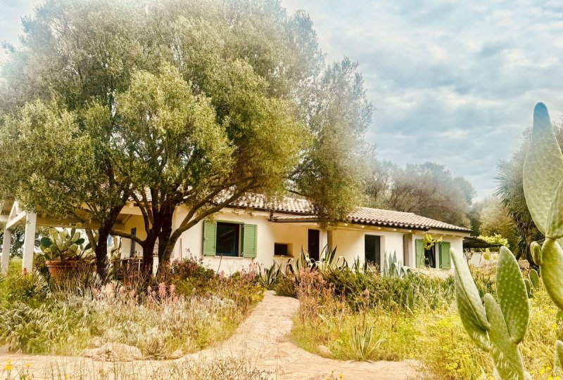 Casa de campo en San Pantaleo