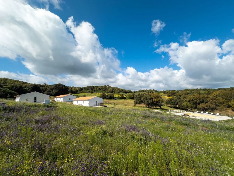 Landhaus in Luogosanto