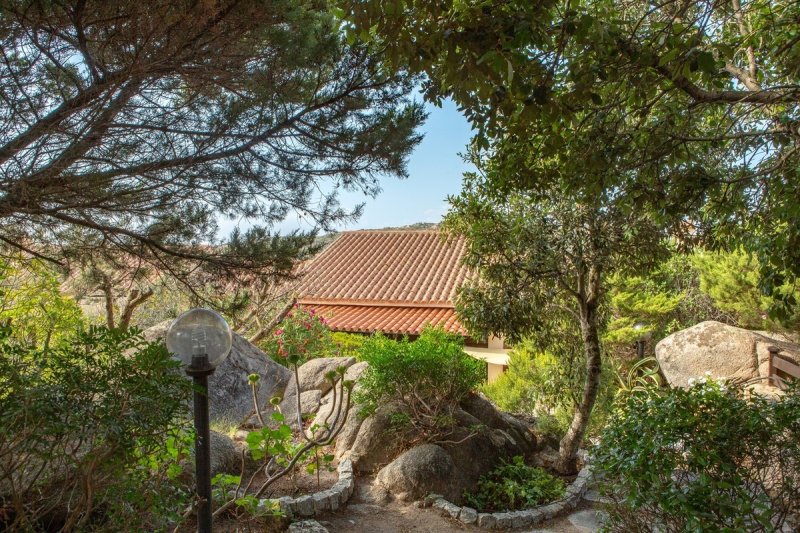 Terraced house in Santa Teresa Gallura