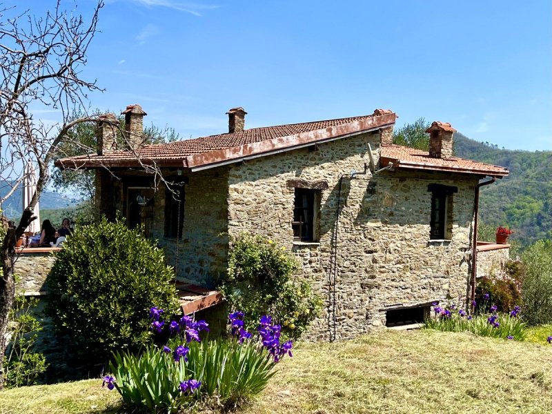 Huis op het platteland in Testico