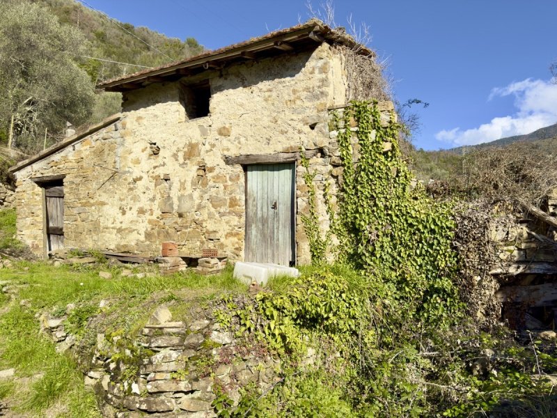 Klein huisje op het platteland in Apricale