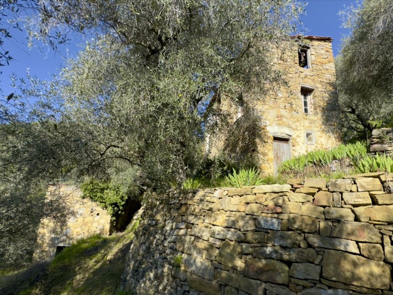 Lantställe i Dolceacqua