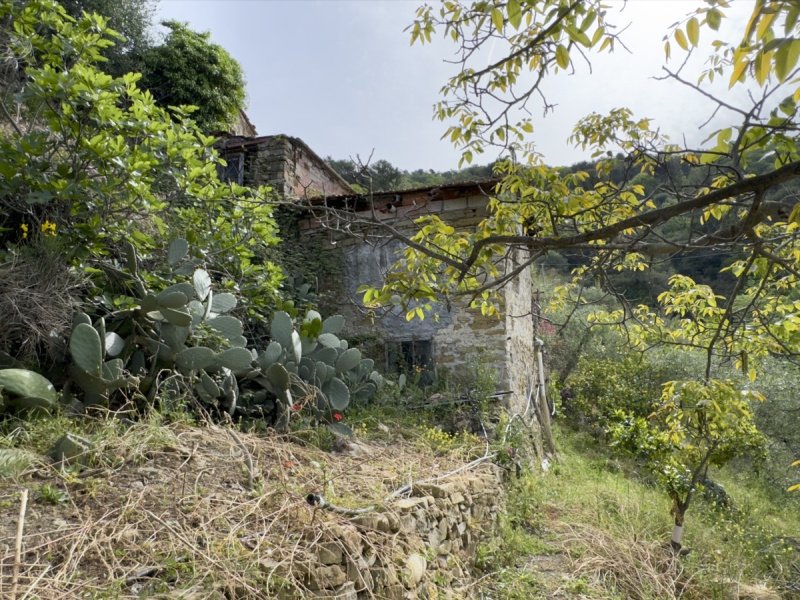 Byggtomt i Dolceacqua