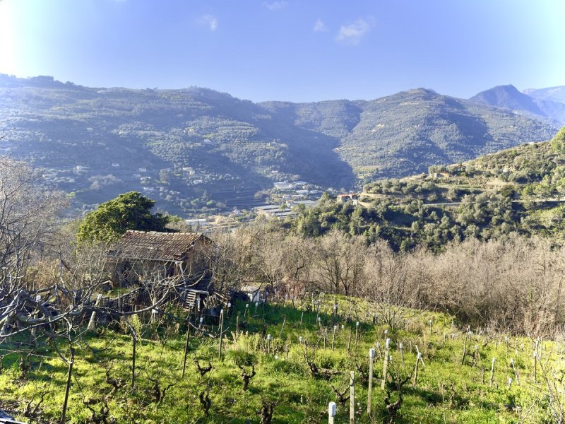 Terrain à bâtir à Dolceacqua